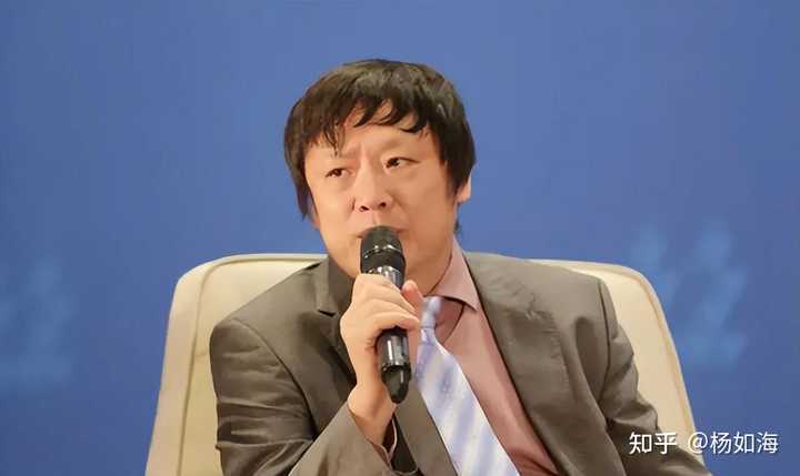 胡锡进到底是干什么的