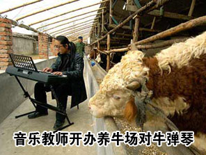 牛弹琴，印巴打起来后果很严重