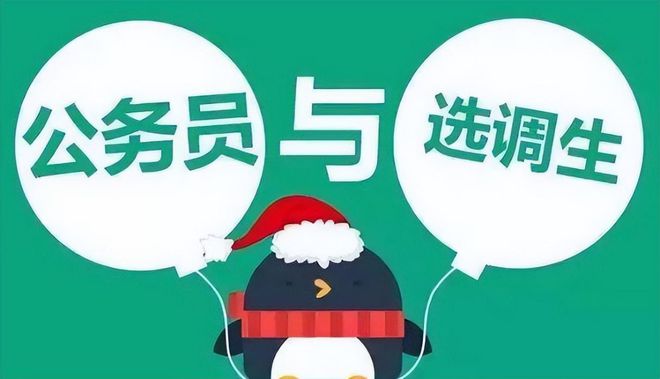 高校萝卜招聘，现象背后的深度解读