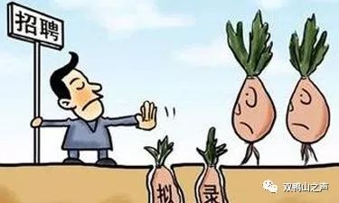高校萝卜招聘，现象背后的深度解读