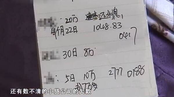 女子月入4700元负债竟达惊人的2544万，逆境中的挣扎与启示