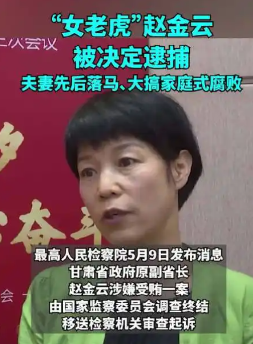 女老虎赵金云被逮捕事件深度解析