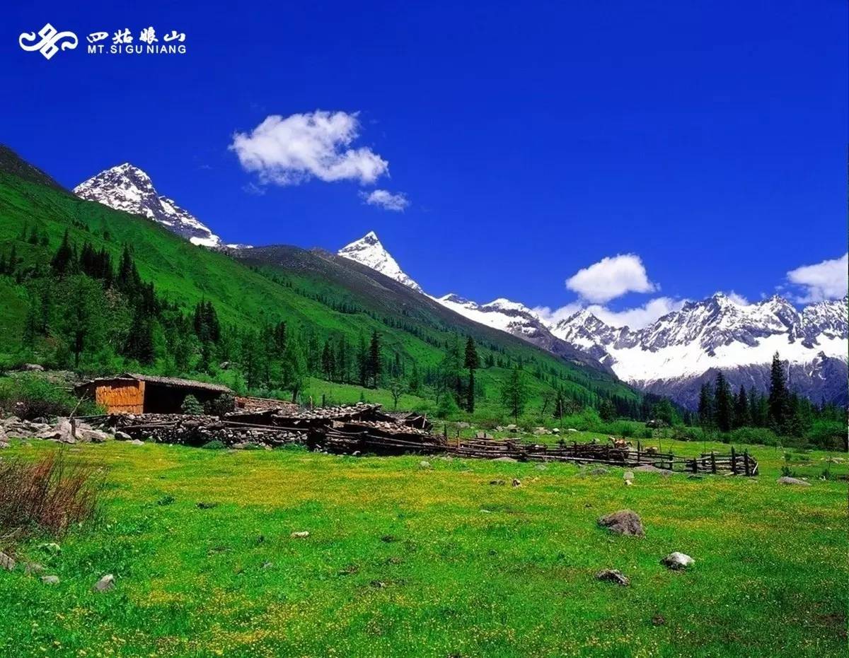 揭秘四姑娘山，究竟蕴藏哪些宝藏？