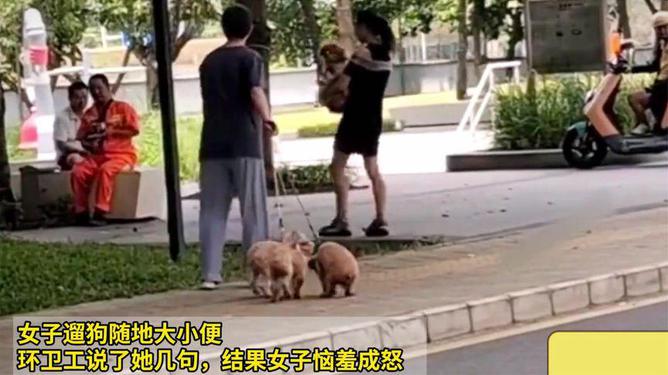 高速女子随地大小便，公众行为与社会责任