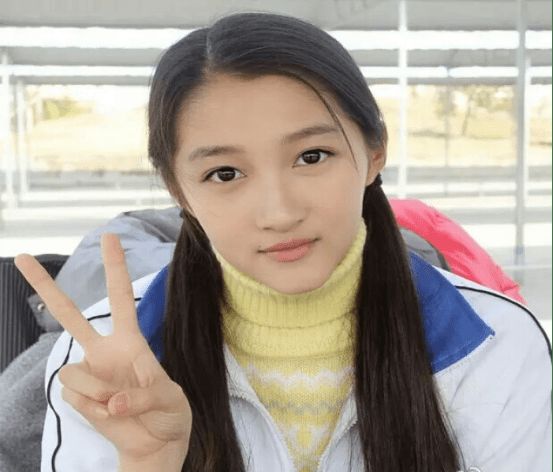 调查李凯馨辱华争议