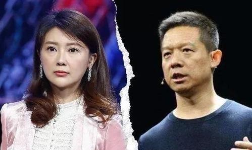 甘薇贾跃亭离婚事件，深度解读与多维分析