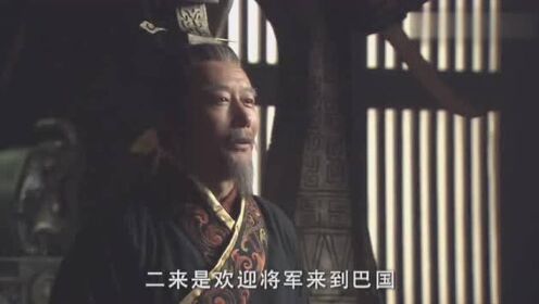 巴谋国副军级，深度解析与探讨