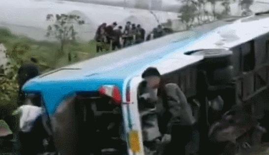 客车撞树侧翻导致3死4伤，悲剧背后的警示与思考
