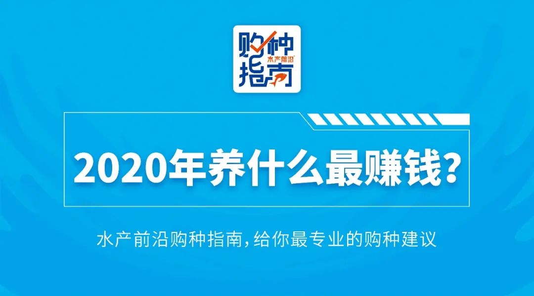 跨越数字的奇迹，如何在200、200、300中赚取财富