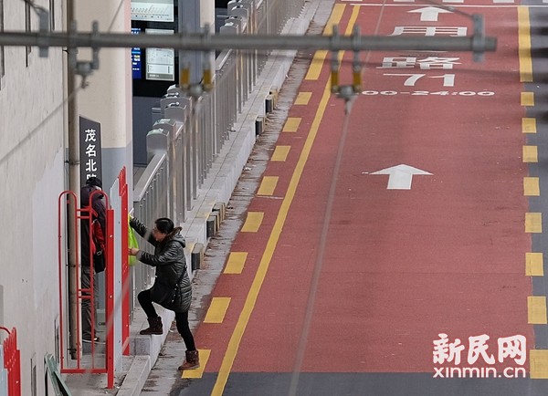 上海街头现栏杆刺客，深度探究背后的故事