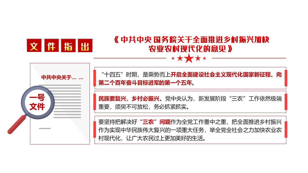中央文件 2021，引领新时代的政策蓝图