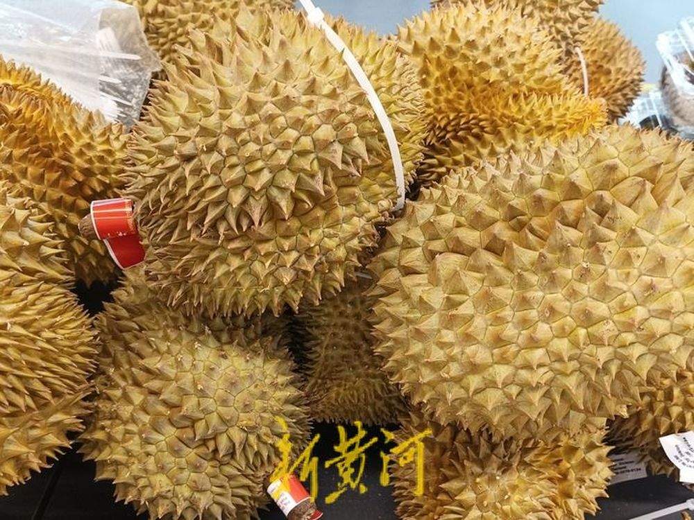 市场价榴莲的售价及其影响因素分析