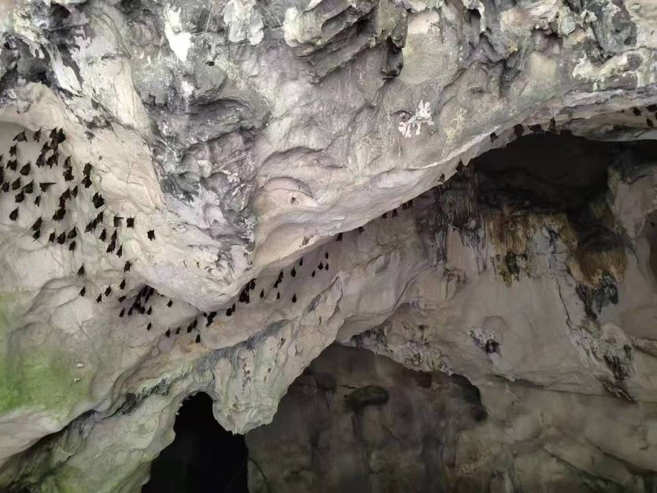 溶洞处理指南，探索最佳解决方案