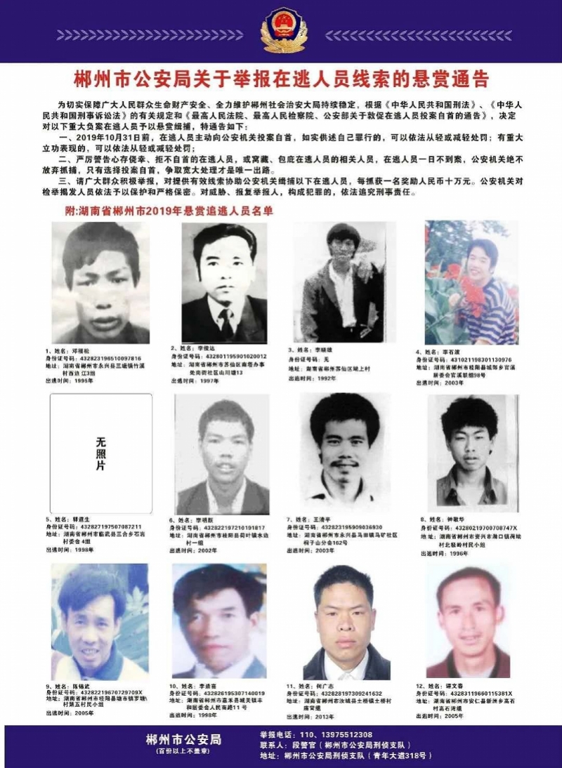 杀人嫌犯取保后失踪，真相待揭晓的悬疑事件