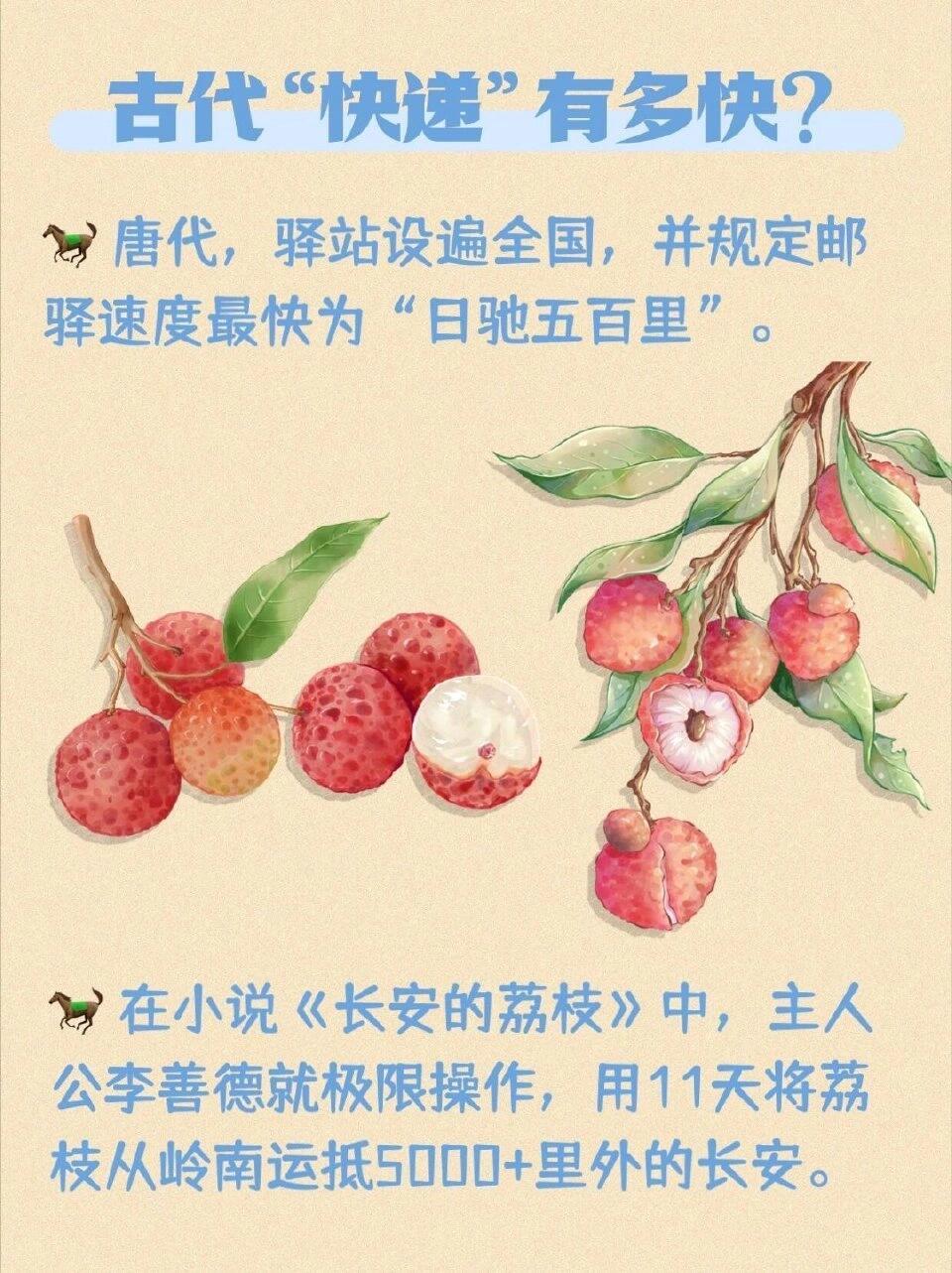 长安的荔枝为何用多集讲述运送实验