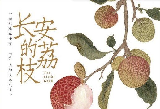 长安的荔枝为何用多集讲述运送实验