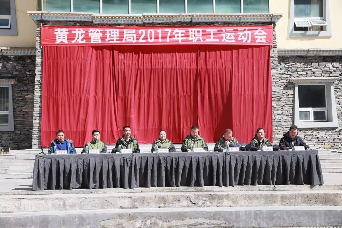 杨长俊简历，一窥风云人物的非凡人生