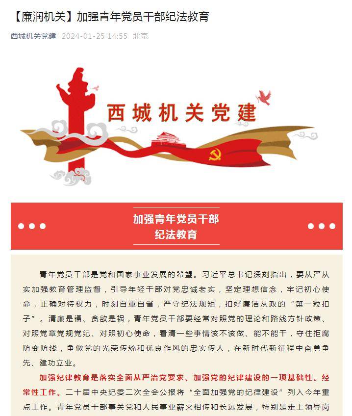 年轻干部自查自纠，自我净化，自我提升