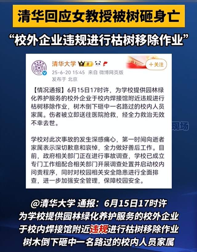 清华回应女教授被树砸身亡事件深度解析