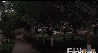 酱园新村，探寻新时代的乡村魅力