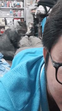 小伙运货时看手机，拉开电梯门坠落——一次意外的警醒