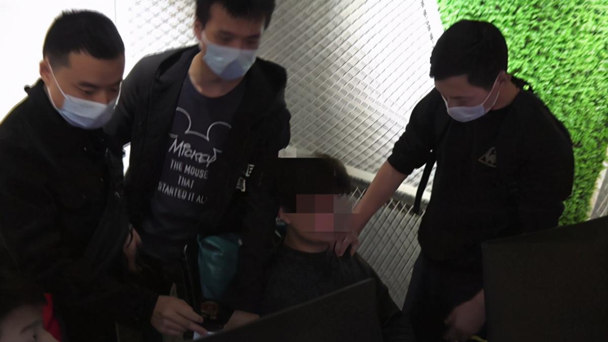 狗被困住能否报警？解读应对宠物困境的新途径