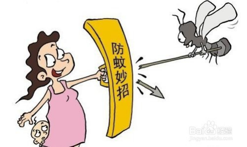 科学防蚊，远离蚊虫侵扰