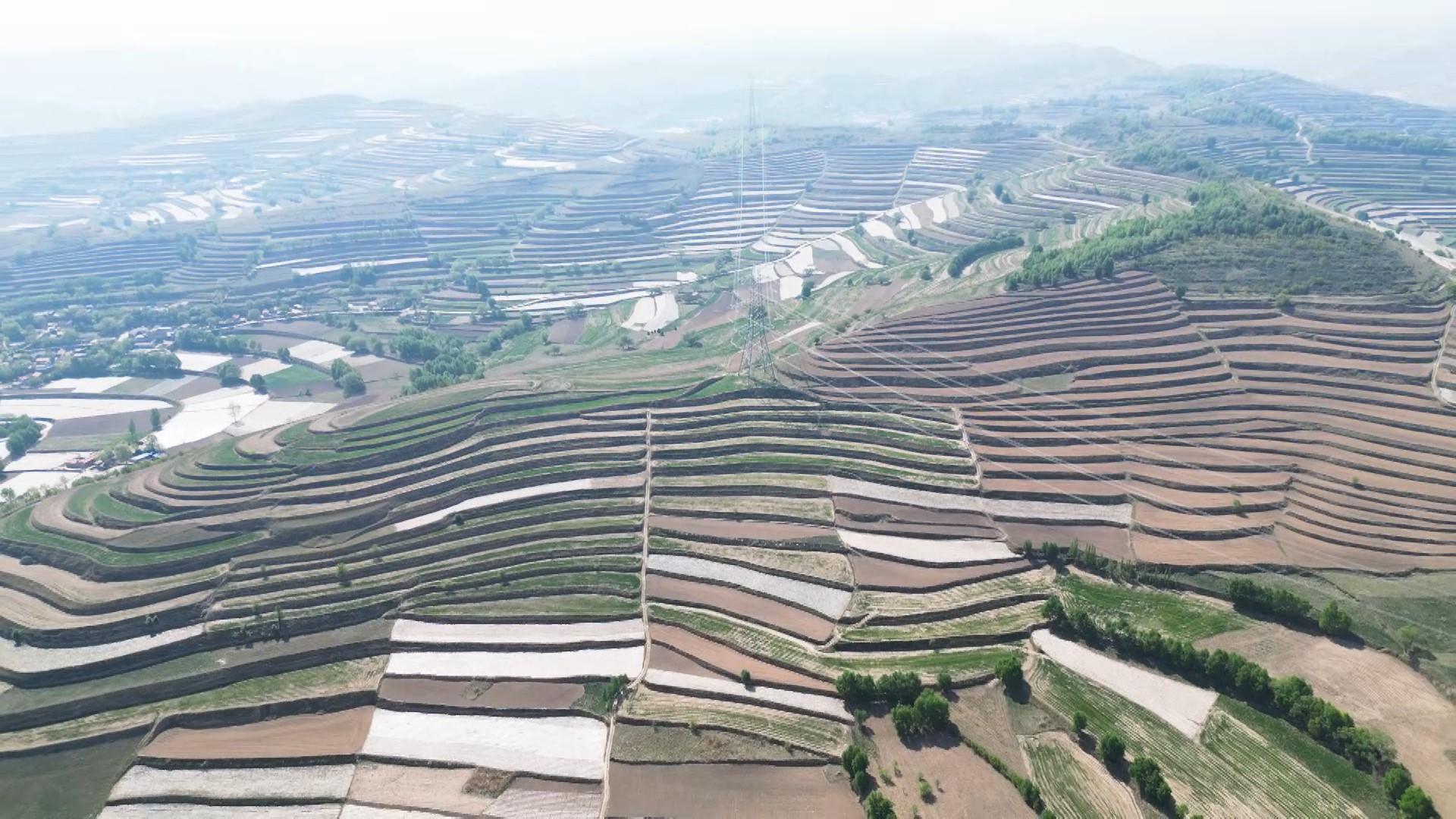 守住耕地，守住我们的命根子