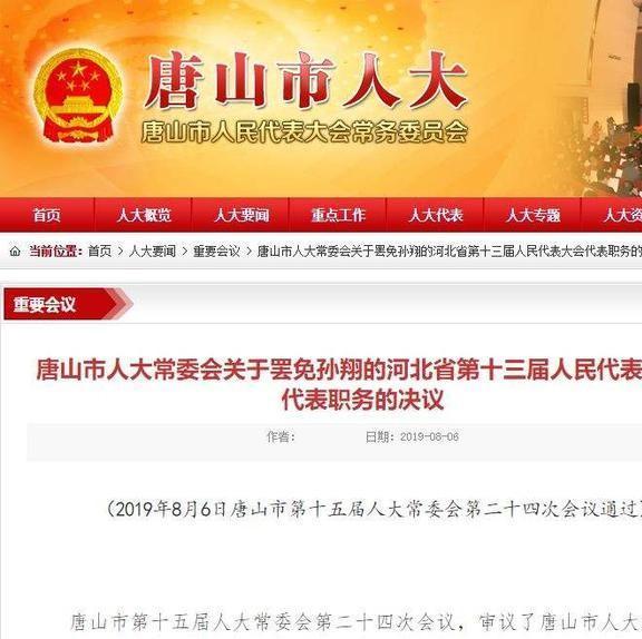 聚焦热点，关于八人被罢免人大代表事件深度解析