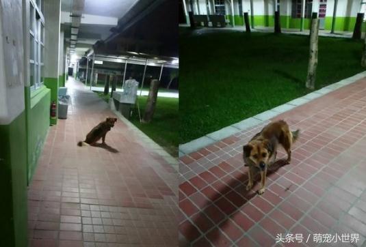 哈尔滨高温下，高校学生楼道乘凉睡觉的别样风景