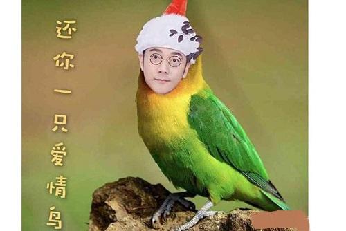 林依轮访谈节目，深度对话，探寻人生多彩舞台