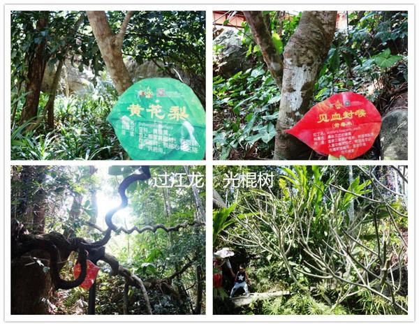 68岁大爷全身纹身，老身非妖，热爱无界