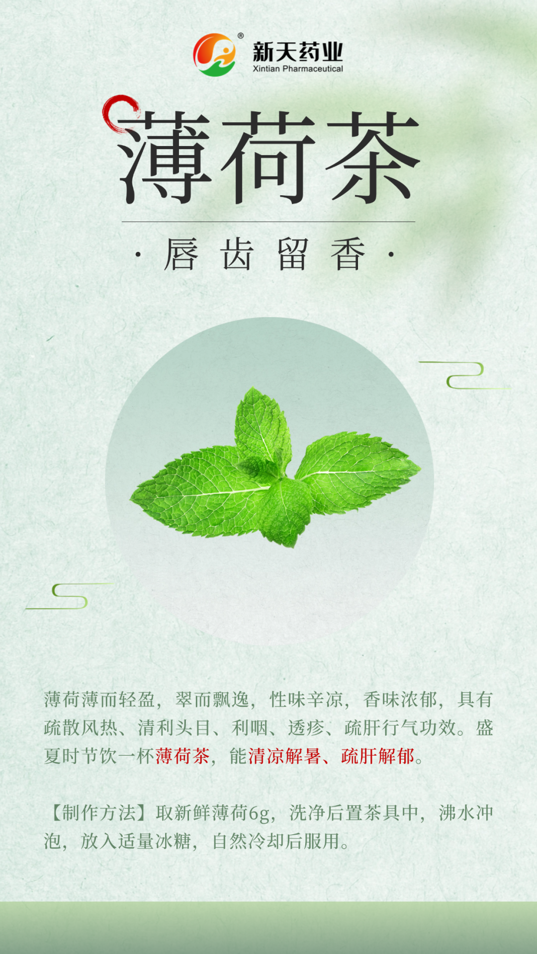 解暑药方，夏日清凉之道的探索